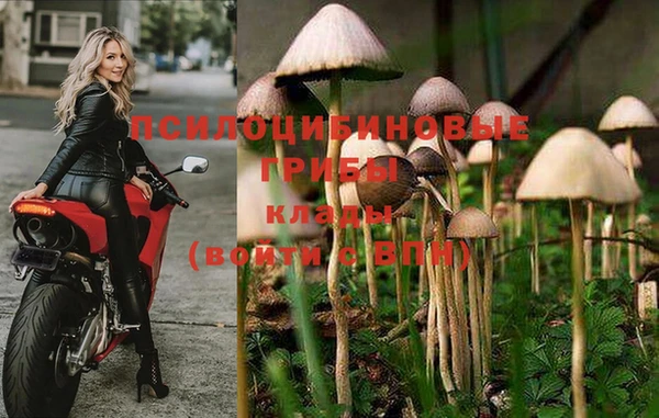 мдпв Арсеньев