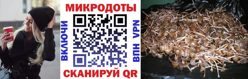 Галлюциногенные грибы мицелий  Купить  Костомукша 